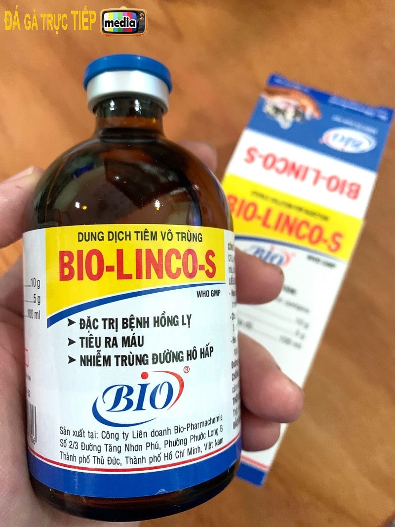 Bio Linco S đặc trị các bệnh thông dụng ở vật nuôi 